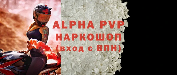 молекула духа Арсеньев