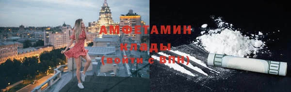 молекула духа Арсеньев