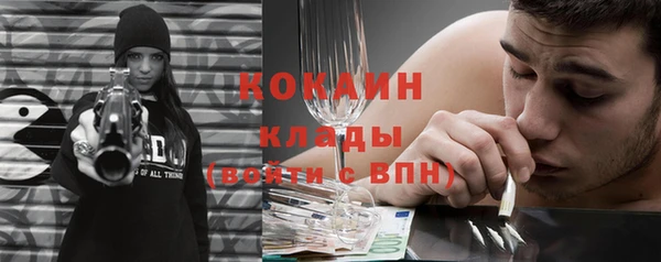 молекула духа Арсеньев
