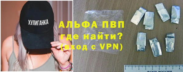 молекула духа Арсеньев