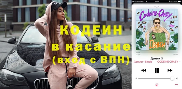 молекула духа Арсеньев
