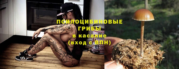 apvp Аркадак