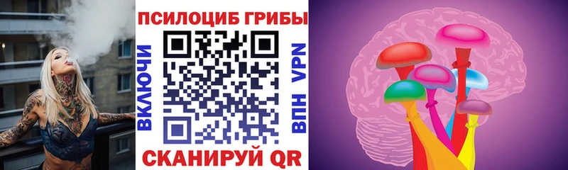 Купить  Луховицы  Псилоцибиновые грибы Psilocybe 
